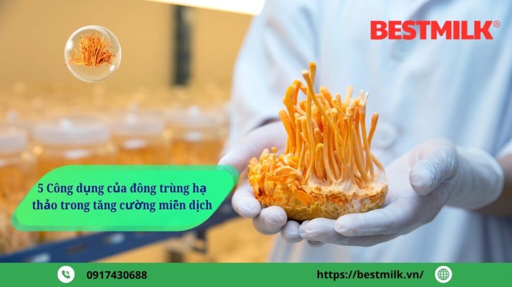 5 Công dụng của đông trùng hạ thảo