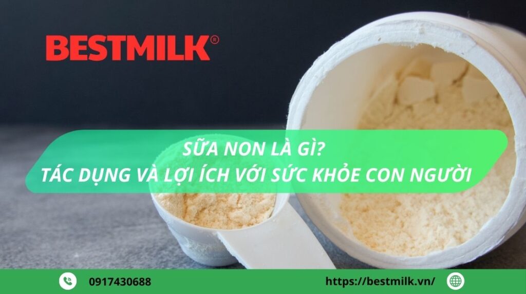 Sữa non là gì tác dụng và lợi ích với sức khỏe con người